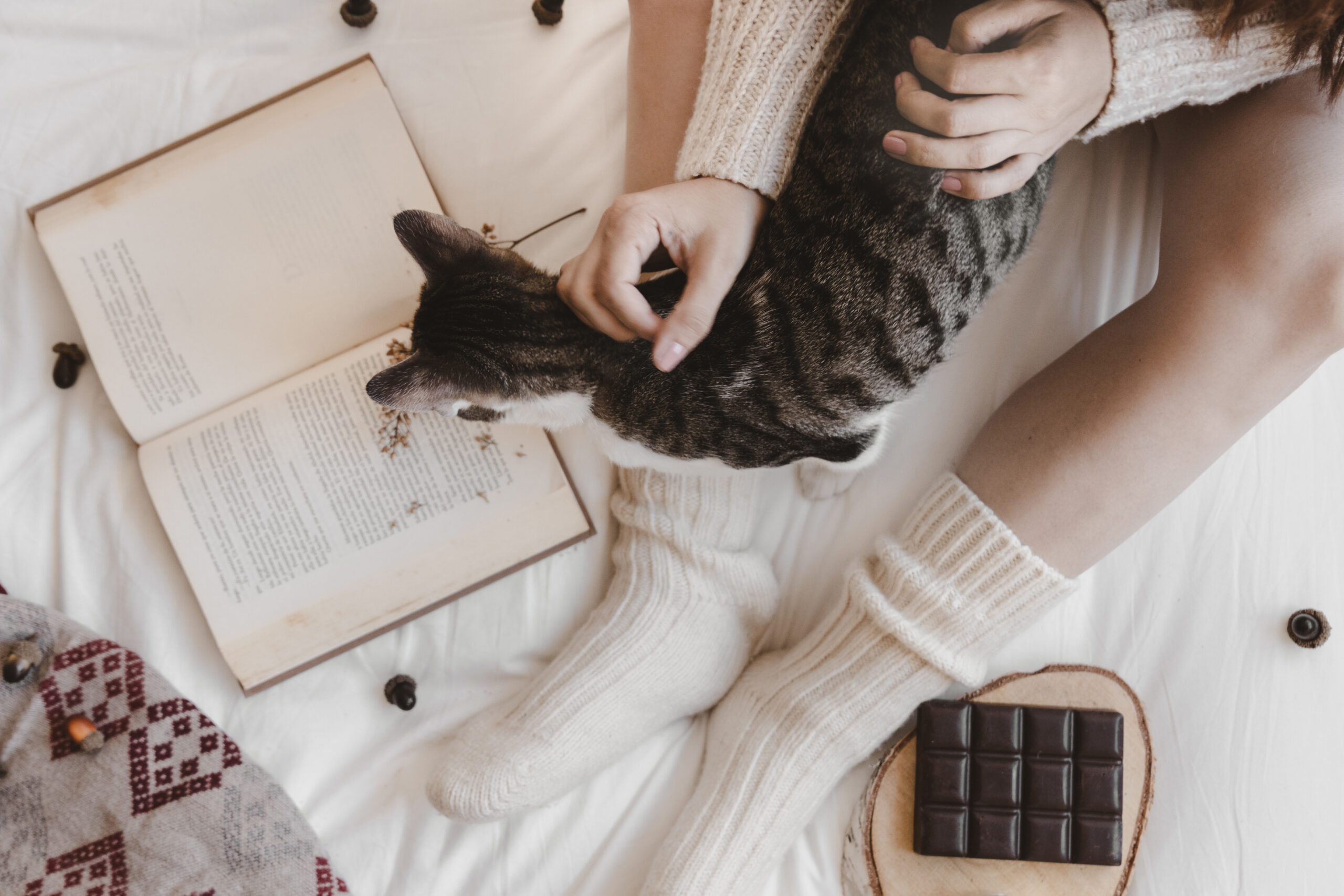 unrecognizable-lady-stroking-cat-near-book-chocolate